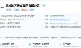 石家庄网红团团爆料视频,揭秘城市新热点背后的故事